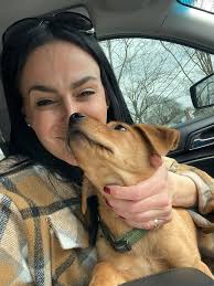 Everyone asks what do I need, especially with bottle babies. Right now I  desperately need pee pads, nutra- cal, toys, baby wipes. Remember, our  fosters volunteer their services, home, family and “pack” (