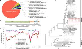 Having done that, you can proceed with the outline. A Pneumonia Outbreak Associated With A New Coronavirus Of Probable Bat Origin Nature