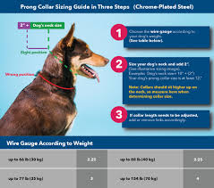 The larger the width, the larger the surface area. Sizing Guide Coastal Pet Products