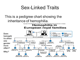 Sex Linked Pedigrees Hemophilia