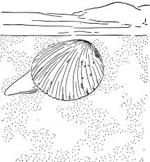 Free, printable coloring book pages, connect the dot pages and color by numbers pages for kids. Cockle Clam Coloring Page Free Printable Coloring Pages Free Printable Coloring Pages Coloring Pages Printable Coloring Pages