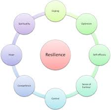 Resilience As A Strategy For Struggling Against Challenges Related To The Nursing Profession Sciencedirect
