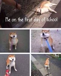 The 17 Worst Things About Going Back To School Funny Pictures Funny Memes Funny