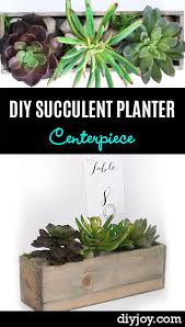 One of the best diy succulent planter ideas on the list! 32 Creative Diy Succulent Crafts And Diys