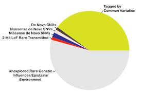 Slicing The Genetic Pie Spectrum Autism Research News