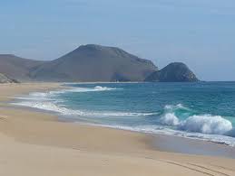 Spotting sea creatures in baja california sur. Best Beaches To Visit In Baja California Hertz