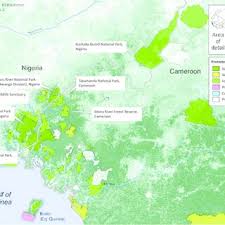 Image result for Indigofera wituensis