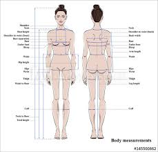 Are you searching for woman body png images or vector? Woman Body Measurement Chart Scheme For Measurement Human Body For Sewing Clothes Female Figure Front And Back Views Vector Wall Mural Alina