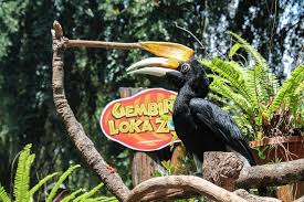Batu secret zoo tak bisa dipisahkan dengan destinasi wisata yang ada di jawa timur, kebun binatang modern yang memiliki luas sekitar 14 hektar ini merupakan bagian dari jatim park 2. Harga Tiket Masuk Gembira Loka Zoo Juni 2021 Wisatakaka