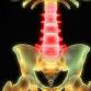 Foundations of Ortho-Bionomy®--Focus on Low Back and Pelvis