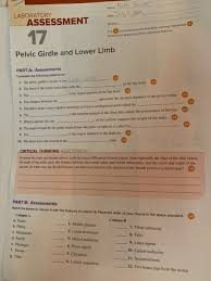 Pelvic girdle and lower limb. Name Faith Brewer Date July 11 2019 Laboratory Chegg Com