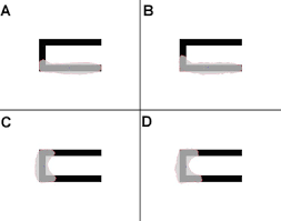 Yes, students notice when you are in a different location! Extracellular Matrix Geometry And Initial Adhesive Position Determine Stress Fiber Network Organization During Cell Spreading Sciencedirect