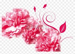 Free Png Mothers Day Gratitude Advertising Carnation Pink Carnation Transparent Png 851x578 3669783 Pngfind Are you looking for pink carnation design images templates psd or png vectors files? free png mothers day gratitude