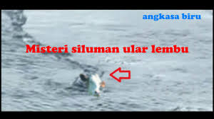 Dagingnya, beserta kepala country covering. Penampakan Ular Berkepala Lembu Penunggu Sungai Mahakam Youtube