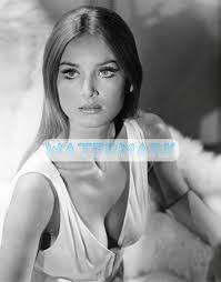 Stunning BARBARA BOUCHET Busty Portrait ** Pro Pigment Print (8.5"x11")  HI-RES