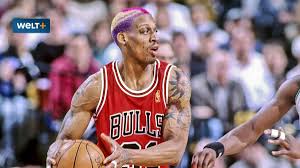 View cnn's fast facts for information on the life of former professional basketball player dennis rodman. Vykepbpul6xdfm