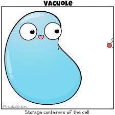 Check spelling or type a new query. Amoeba Sisters Gifs Science With The Amoeba Sisters