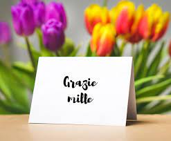Grazie mille, sono quasi pieno. What Does Grazie Mean In Italian And Grazie Mille