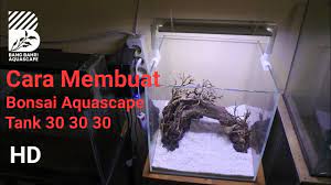 Pin On My Aquascape Channel
