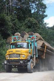 Logging Truck Carrying Timber Out Of The Malaysian Rainforest Borneo 2978 Mercedes Truck Trucks Mercedes Benz Trucks