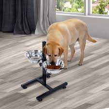 With it, you can treat your dog like the family friend he is. Elevated Dog Bowls Double Pet Food Dishes Height Adjustable Promote Digestion Stainless Steel With Stand Silver Walmart Canada