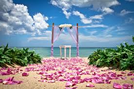 Its versatile event spaces are set amongst exquisite landscaping that provides an escape from the hurried bustle of everyday life. Treasure Coast Beach Weddings Wedding Bells Seashells