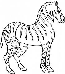Zebras are african equids best known for their distinctive white and black stripes. Stallion Zebra Coloring Page Download Print Online Coloring Pages For Free Color Nimbus