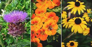 Flower colors that particularly attract bees are blue, purple, violet, white, and yellow. 28 Delightful Flowers That Attract Bees To Your Garden