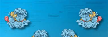 Reporters without borders said on tuesday: Riffreporter Wissen Erstmals Sollen Crispr Babys Geboren Worden Sein