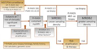 Metastatic workup of patients with prostate cancer employing alkaline phosphatase and skeletal alkaline. Prostate Cancer Diagnostic Pathway Benefits Of Incorporating Mpmri Download Scientific Diagram
