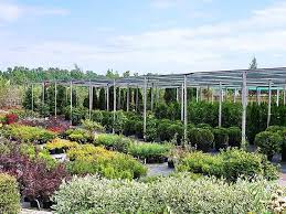 Check spelling or type a new query. October Love The Garden