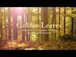Soft Peaceful Inspiring Background Music Instrumental Relaxdaily N 058 Nature Music Relaxing Music Work Music