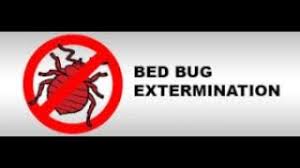 1.1 facts on bed bugs in chicago. Bed Bug Treatment In Chicago Il Orenorkin Com
