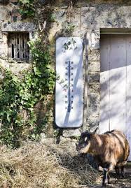 Epingle Sur La Ciotat