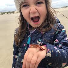 🚵‍♂️ It's happening — Timberline Bike Park opens this Wednesday, July 9!  🌲 Get ready for lift-served laps, berms and jumps, and unbeatable alpine  views