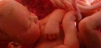 مراحل تطور الجنين في الشهر الخامس من الحمل إيجي برس