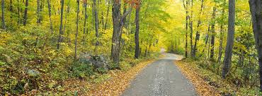 It has the river flowing besides which you have camping grounds and picnic area. Road In Macedonia Park