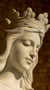 The Mystical Rose. Mary is the most beautiful flower ever seen in the  spiritual world. It is by the power of God's grace that from this barren  and desolate earth there ever