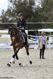 She is known for particularly enjoying training her young horses up the levels. Pin On Ponies