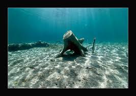 Check spelling or type a new query. Jurgen Amenda Fotos Bilder Fotograf Aus Irsingen Deutschland Fotocommunity