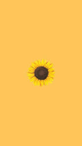 Aesthetic Fur Iphone Wallpapers Wallpaper Cave Asthetische Sonnenblume Iphone Gelbe In 2020 Sunflower Wallpaper Iphone Wallpaper Yellow Cellphone Wallpaper