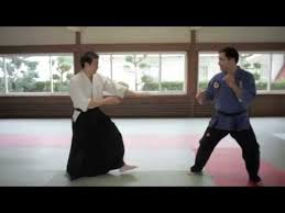 It S No Demonstration Of Ninjutsu Nevertheless The Jiu Jitsu Guy Is Awesome Aikido Martial Arts Martial Arts Aikido