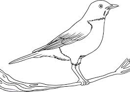 We did not find results for: Robin Coloring Pages Best Coloring Pages For Kids