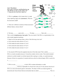 Structure dna and replication worksheet answers awesome business ib dna structure replication review key 2 6 2 7 7 1 lovely dna the double helix worksheet answers new dna replication dna the molecule heredity worksheet answers the best worksheets worksheet dna replication worksheet. Dna Structure And Replication Review Worksheet