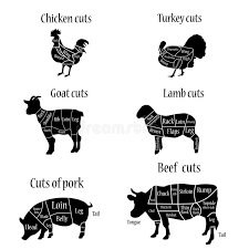 butcher chart stock illustration illustration of pork