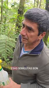 Una mañana fresca en nuestros senderos #orquigonia #coban #guatemala  #guatemalamegadiversa #visitguatemala #orchidlover #orchid #orchids  #vivienteverapaz #overlander #verapaces #travel #instaorchid #instaguate  #viaja #viajaresvivir #ioverlander ...