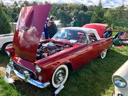 Image result for Bright Lime Starfire 1975 Thunderbird