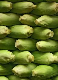 C Est La Belle Vie Simple Green Green Corn