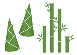 Vector Leaf Green Bamboo Shoot Icon Set Stock Vector Aff Green Bamboo Vector Leaf Ad In 2020 Leaves Vector Icon Set Graphic Design Art