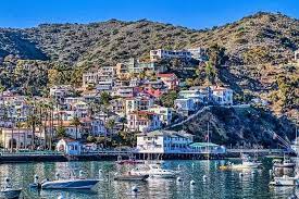 Catalina casino looking toward descanso beach. Entdecken Sie Avalon Catalina Scenic Tour 2021 Santa Catalina Tiefpreisgarantie